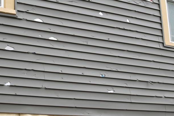 Historical Building Siding Restoration in Reedsport, OR